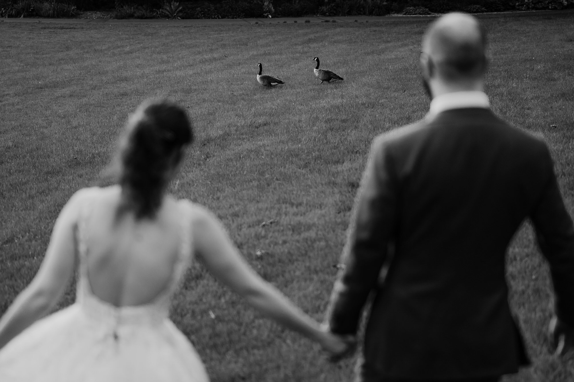 wedding at meadowlark gardens (26).jpg