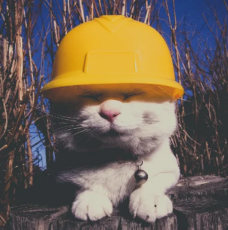 Style-Save-Us-Construction-Cat.jpg