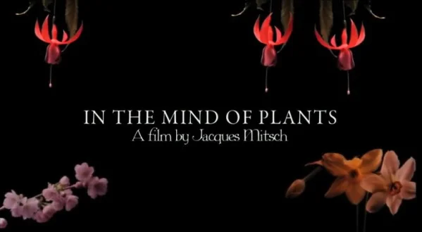 Mind of Plants (2009), Jacques Mitsch