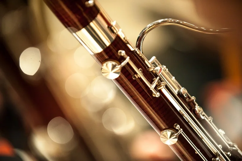 Salon Series Premiere