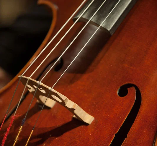 Salon Series: Magnolia String Quartet