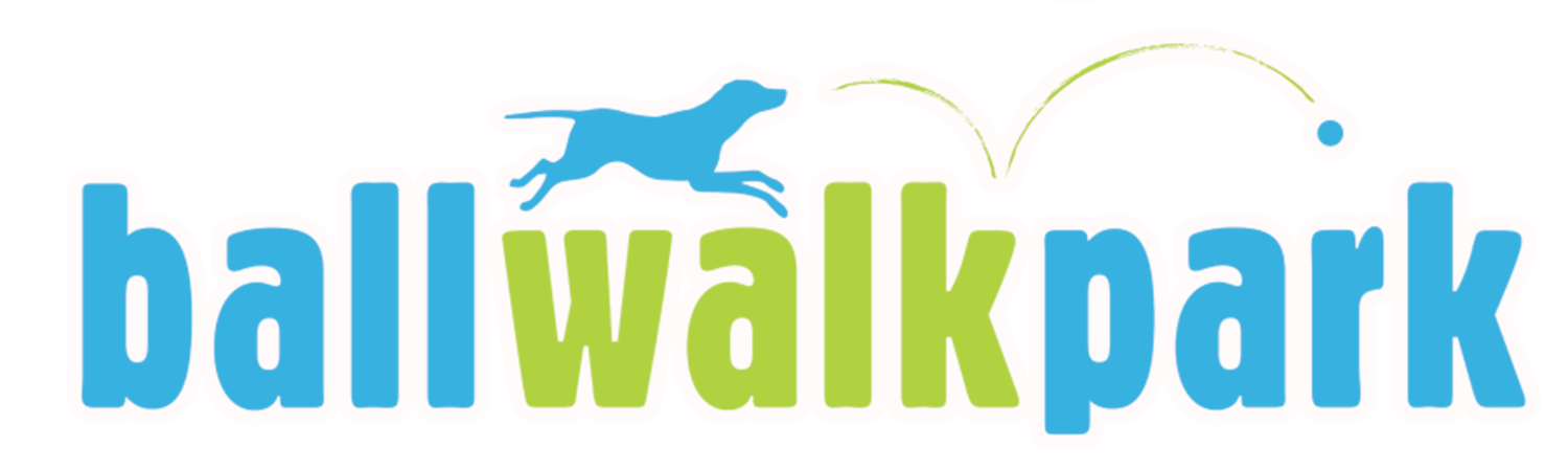 ballwalkpark | Queen Anne Dog Walking