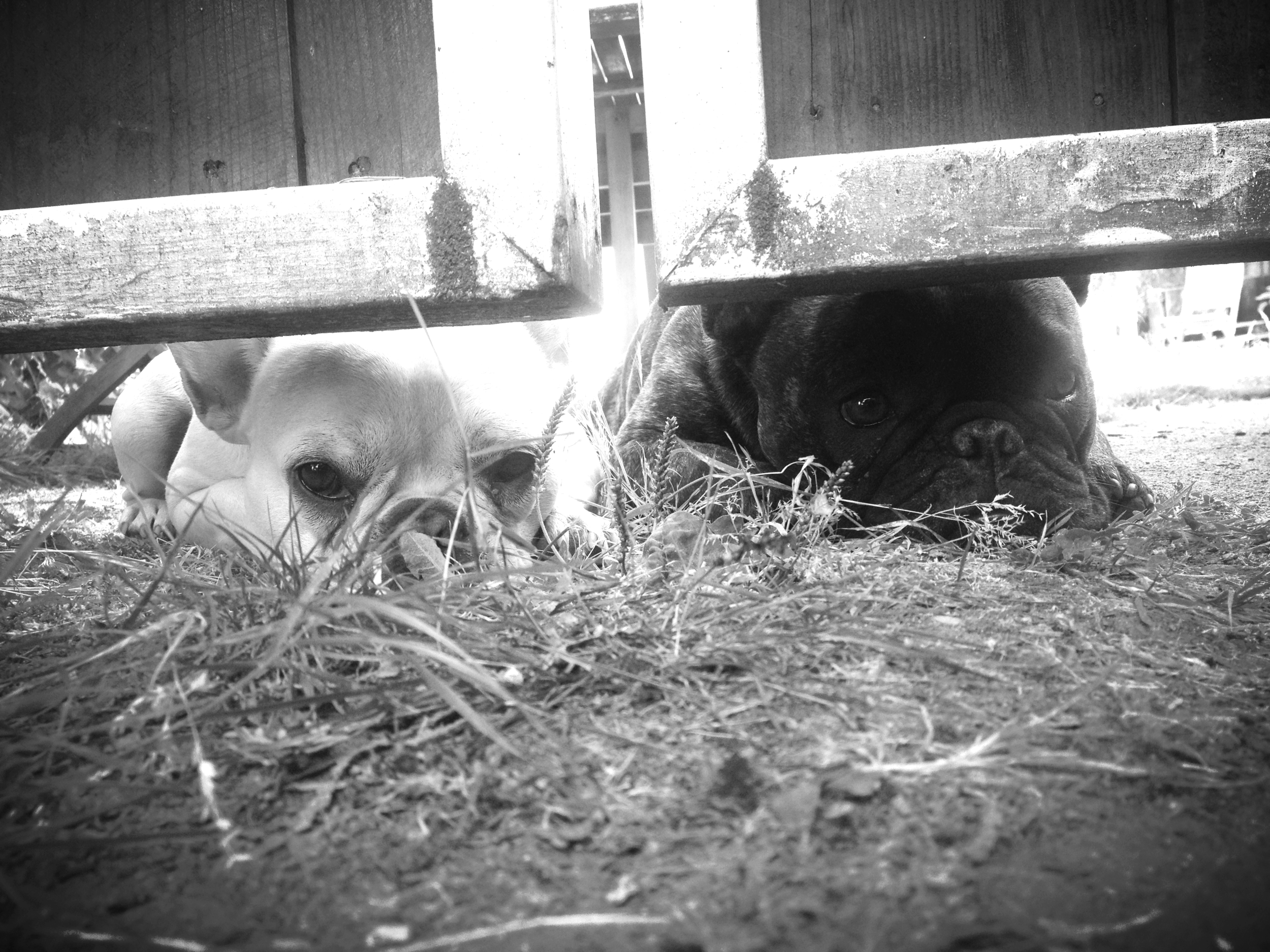 2012-09-19 14.21.48.jpg