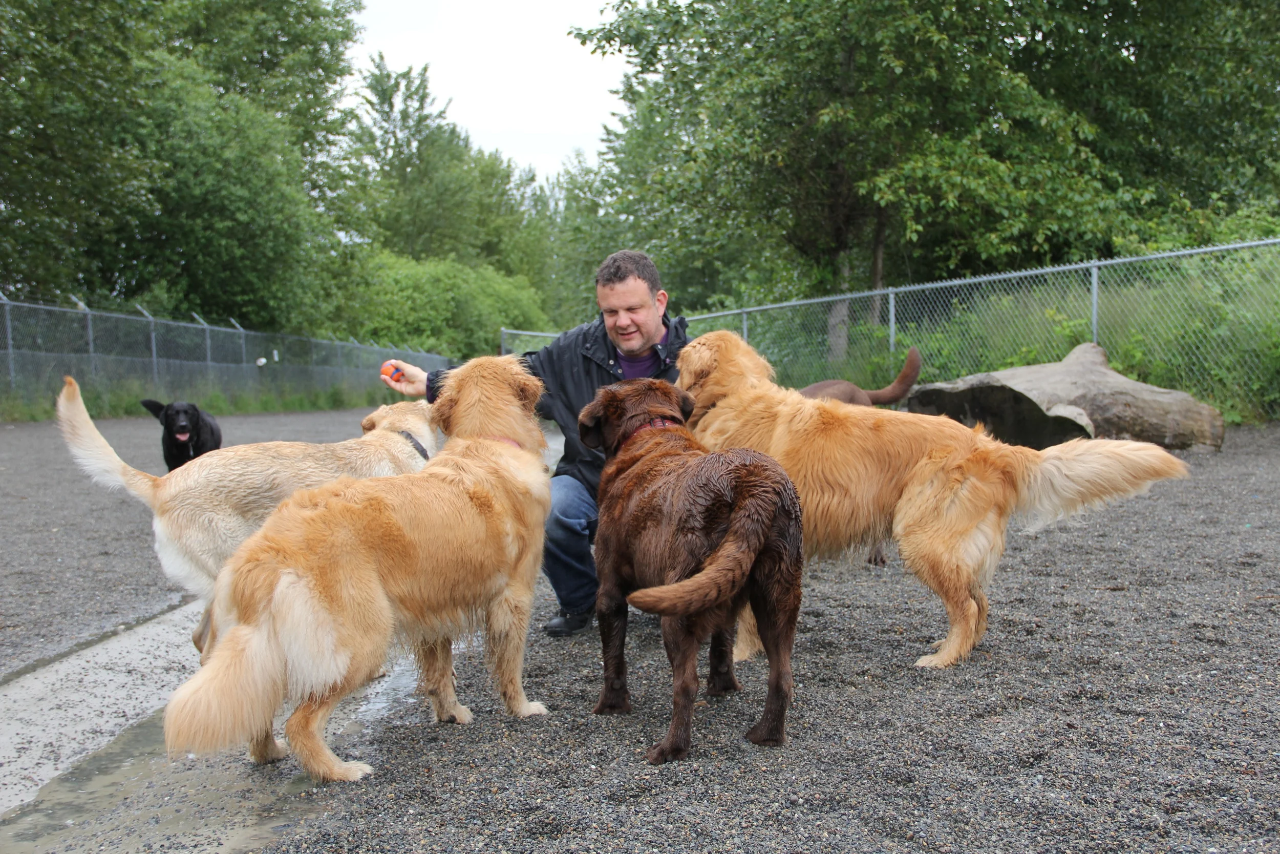 Stefan and the pack.jpg