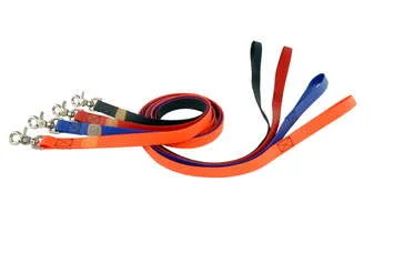 tilden leash .jpg