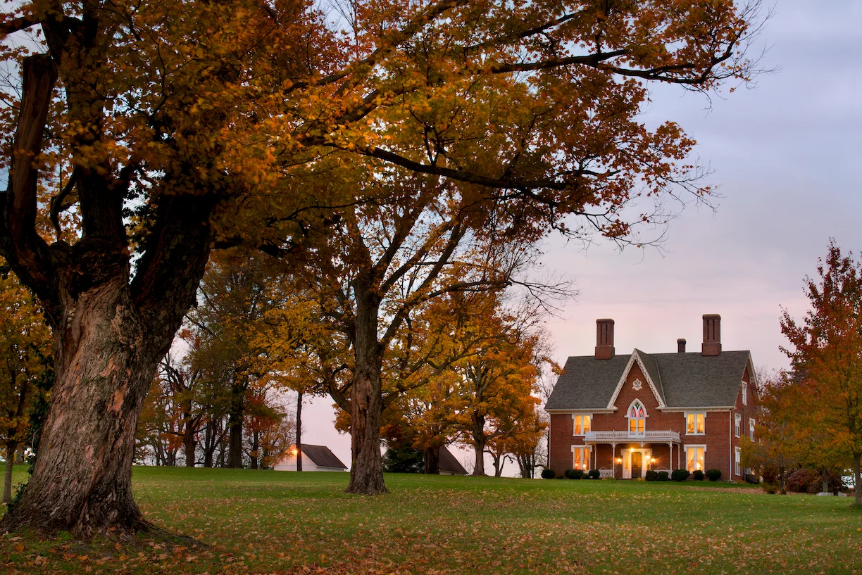 Exteriors 004.jpg