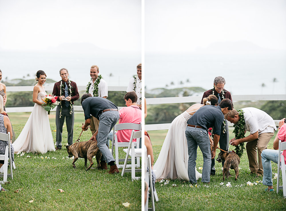 Hawaii Wedding Photographer 9.jpg