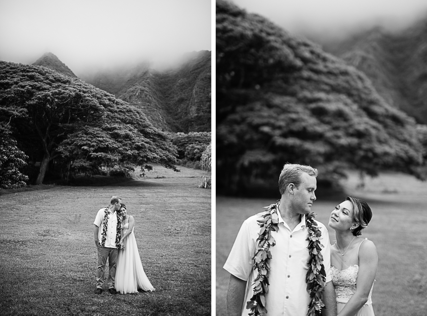 Hawaii Wedding Photographer 18.jpg