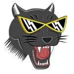 logopantherjaune-150x150.jpg