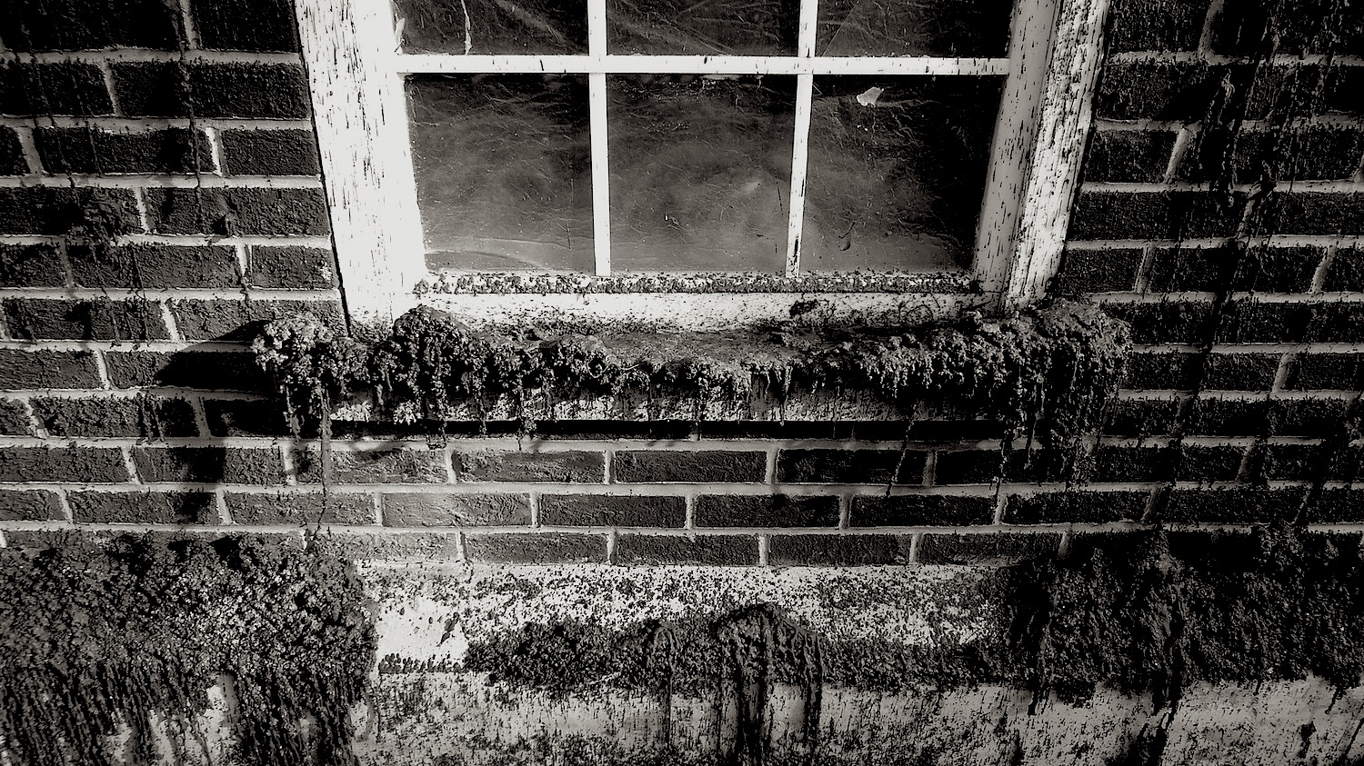 Wax window- photo by Angie Dixon- Illuminate Productions
