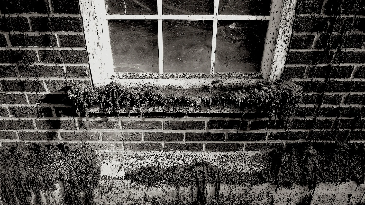 Wax window- photo by Angie Dixon- Illuminate Productions