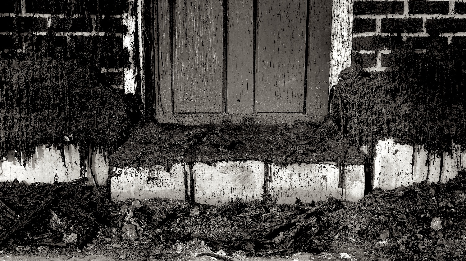 Wax door step- photo by Angie Dixon- Illuminate Productions