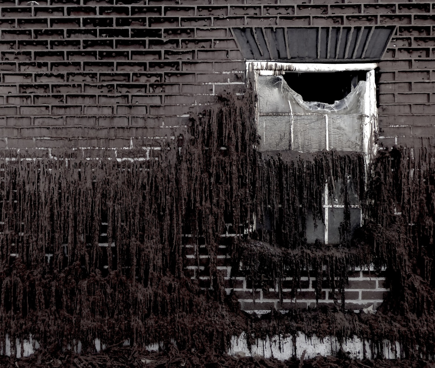 Melting bricks and window- photo by Angie Dixon- Illuminate Productions