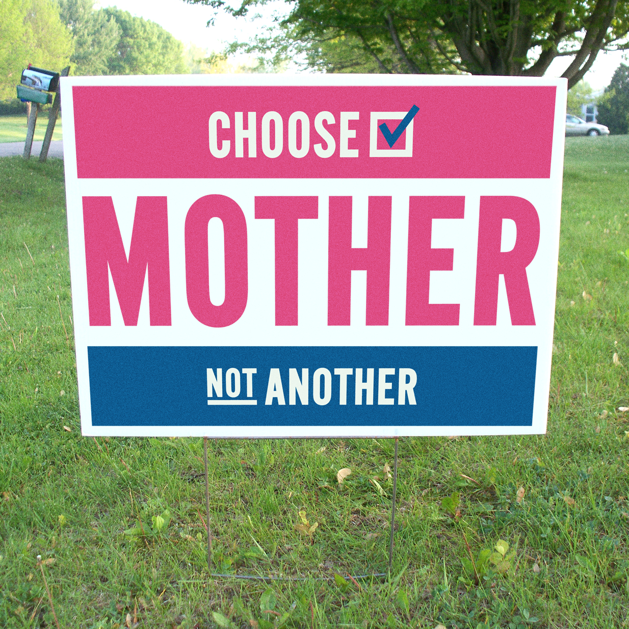 election-sign_1.jpg