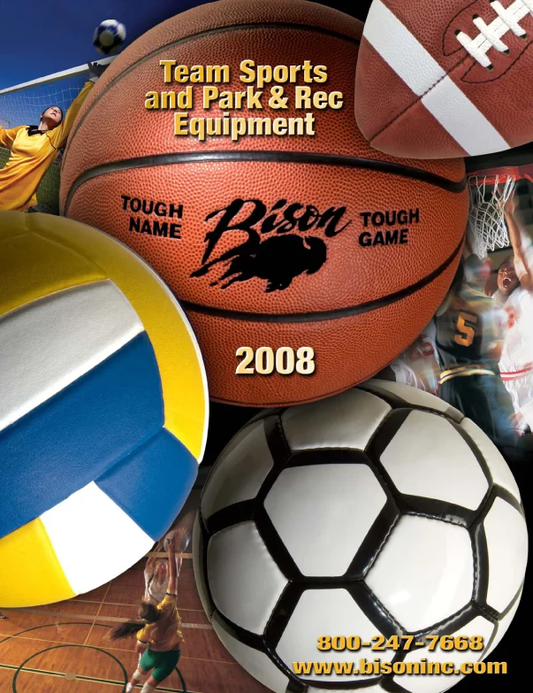 Bison 2007.jpg