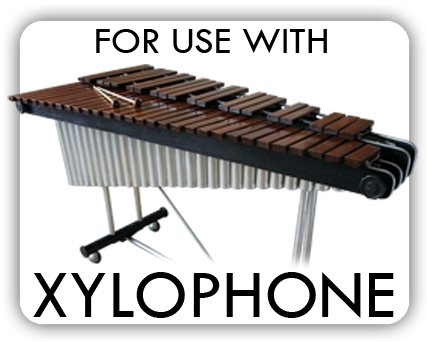 XYLO.jpg