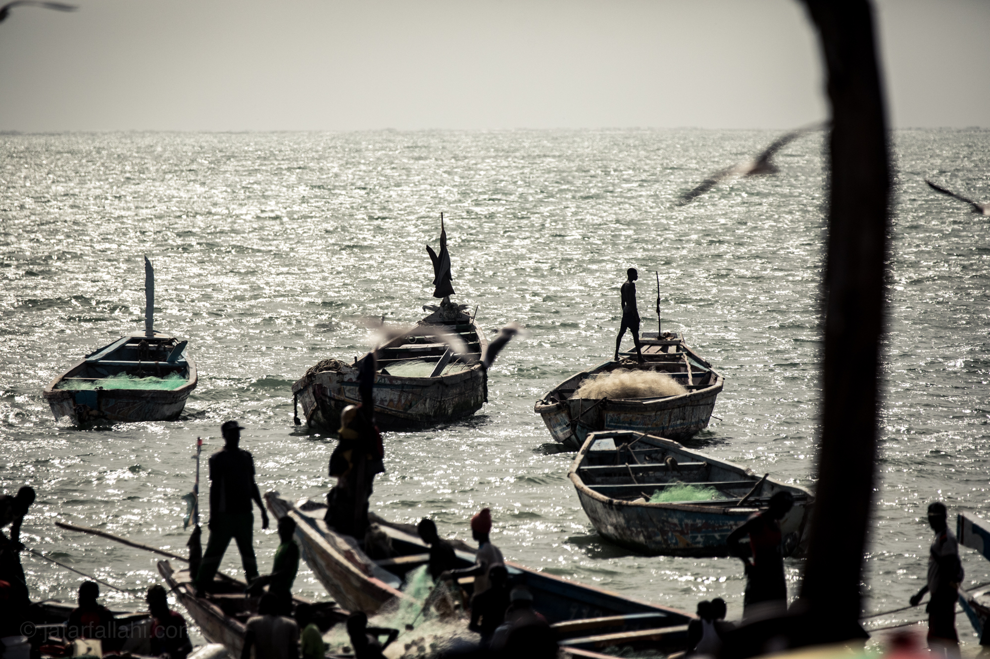 The fish market was amazing. Unfortunately we were quickly trying to get a few more broll shots for the film right before my flight, so I only had a couple minutes to get a few shots before we rushed back to the office to pack and head to Dakar.