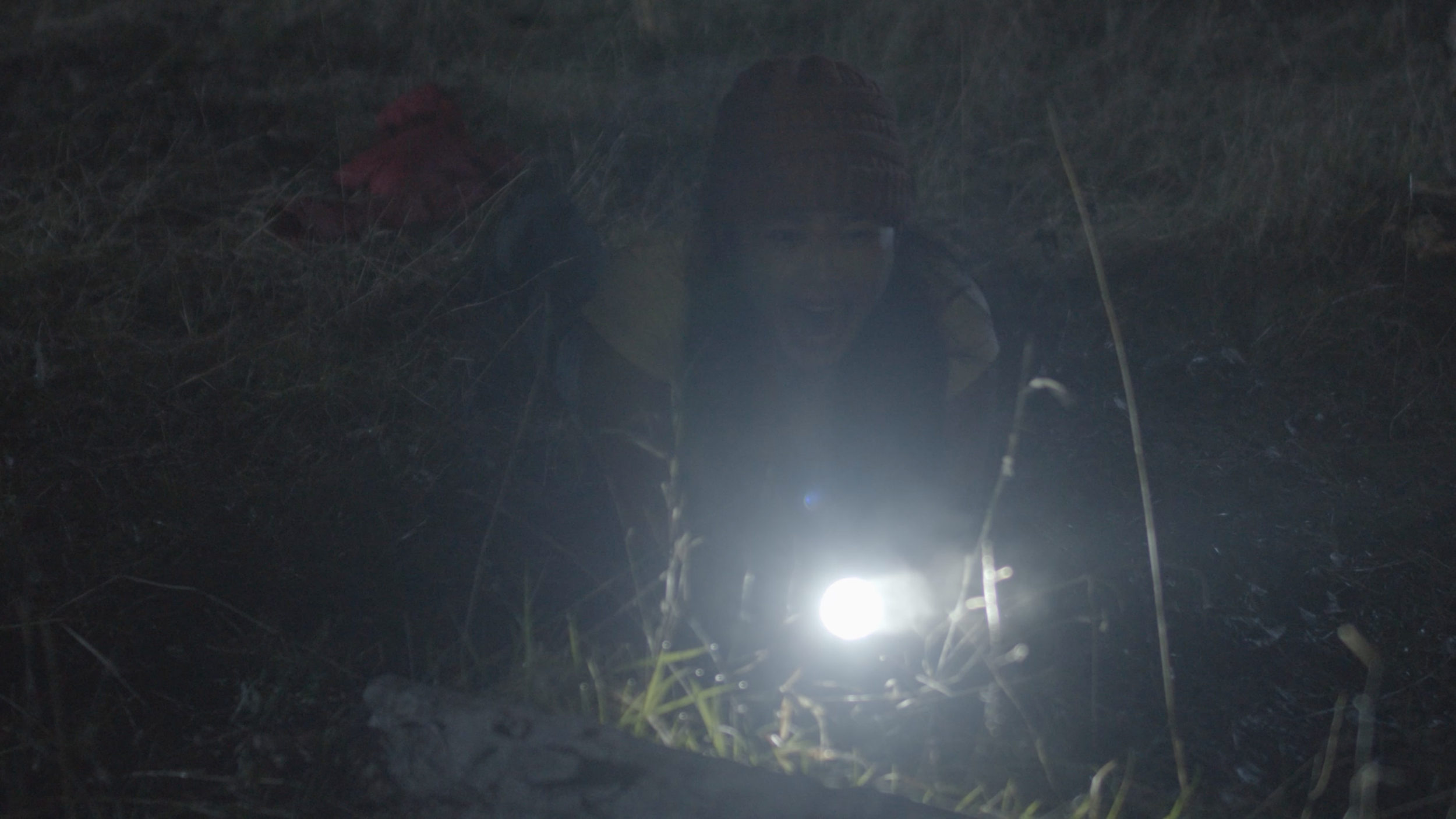 Screen Shot 2021-08-15 at 5.40.00 PM.png