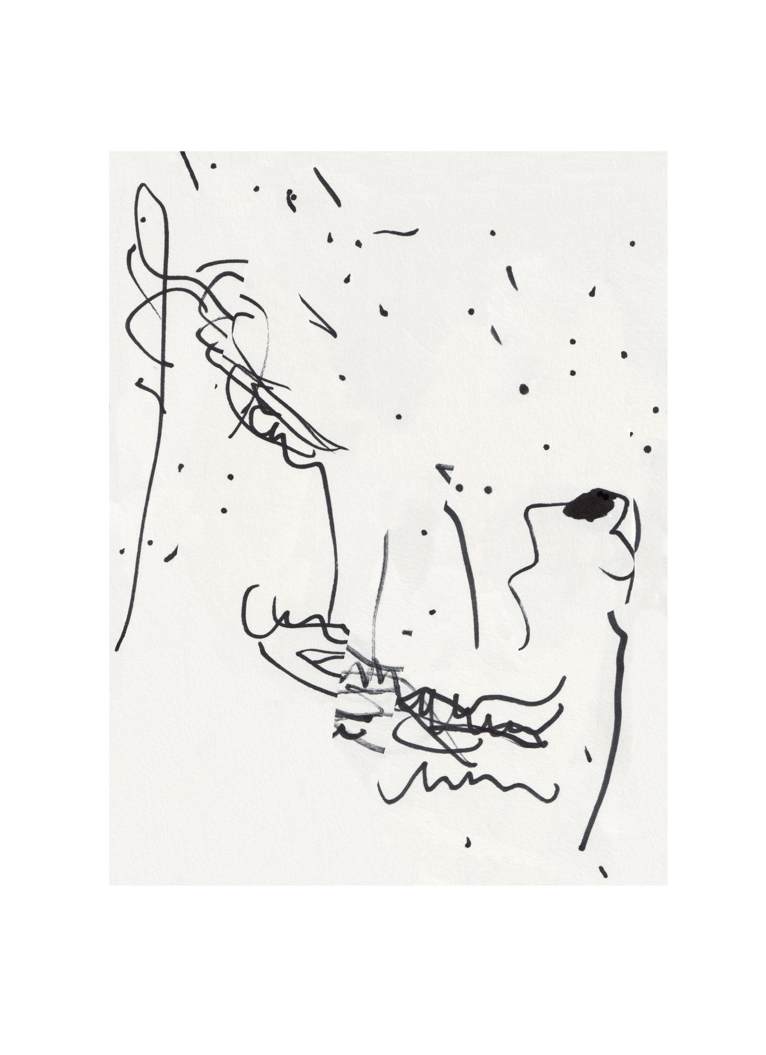 ANAXIMANDER drawing by Jonathan Joubert, showing several profiles meeting across a field of scattered black marks on white paper.