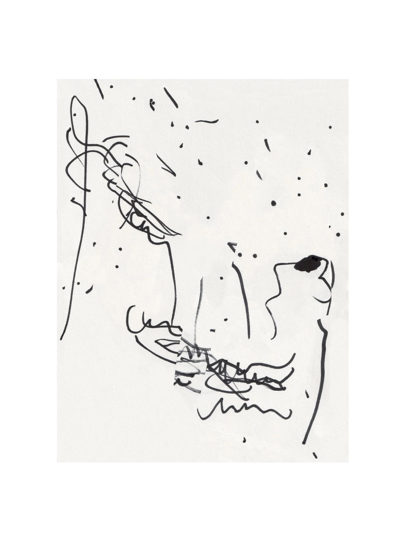 ANAXIMANDER drawing by Jonathan Joubert, showing several profiles meeting across a field of scattered black marks on white paper.
