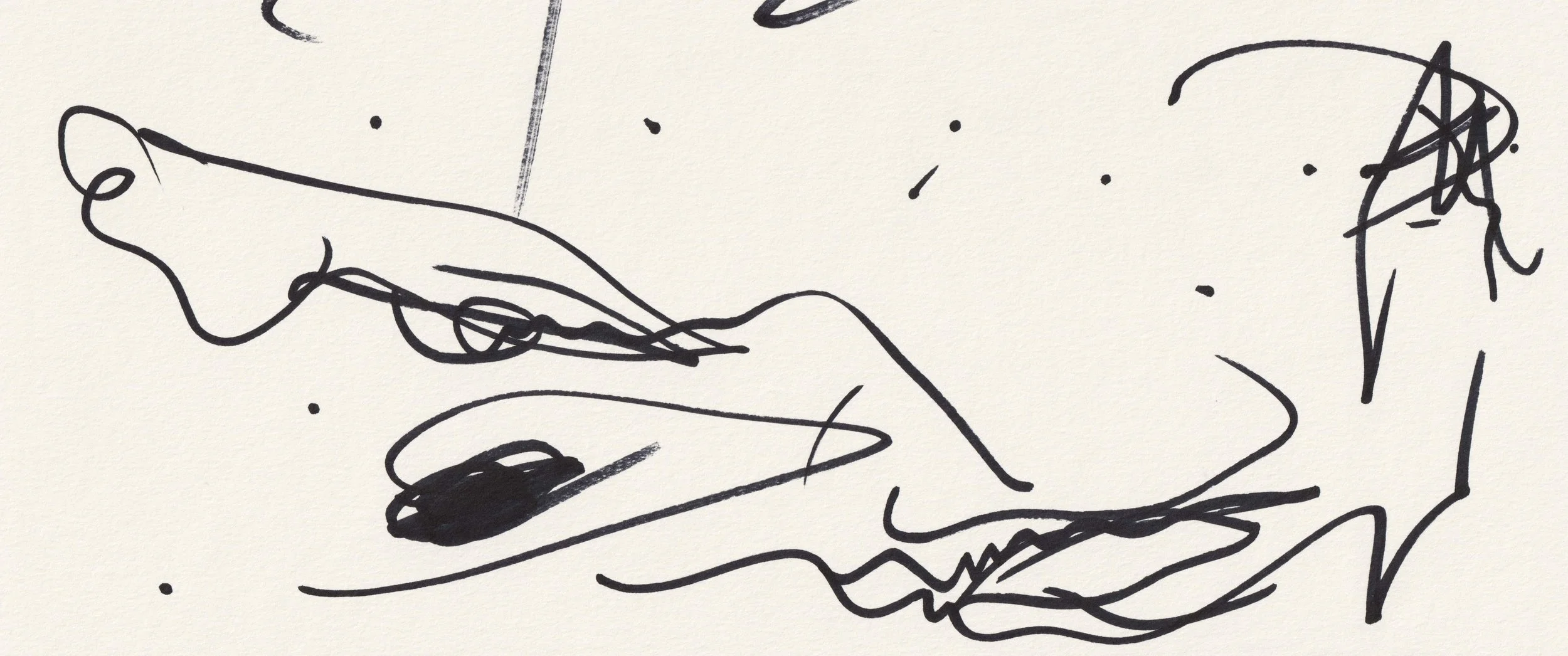 ANAXIMANDER: W I D E S drawing by Jonathan Joubert, a fragmented horizontal head with looping lines and a dark displaced eye.