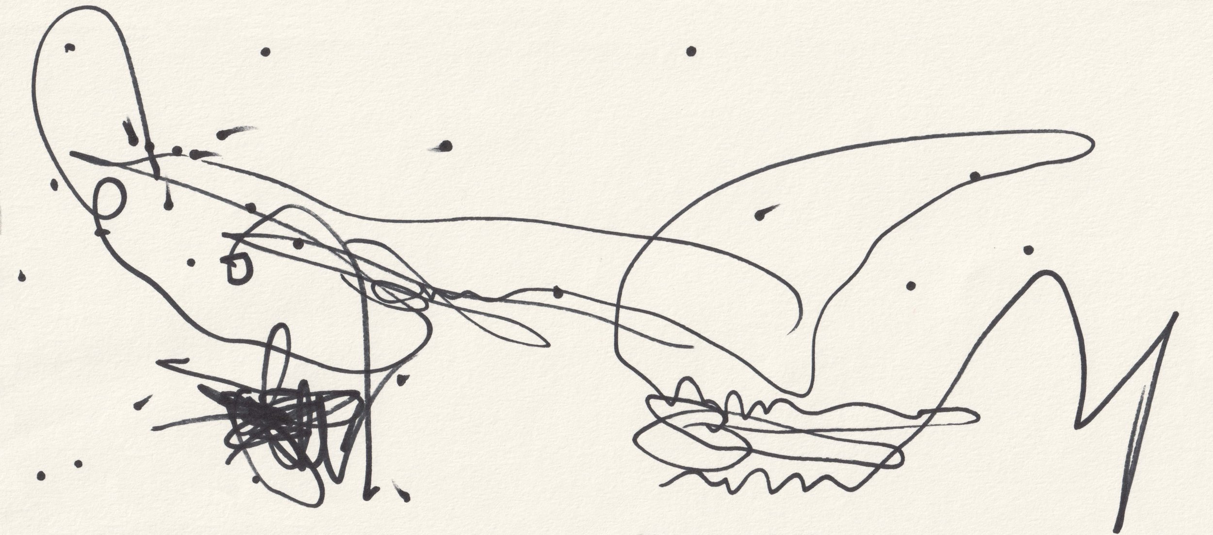 Black Sharpie ANAXIMANDER: W I D E S drawing by Jonathan Joubert with an elongated figure, sweeping contour and compressed forms across a wide field.