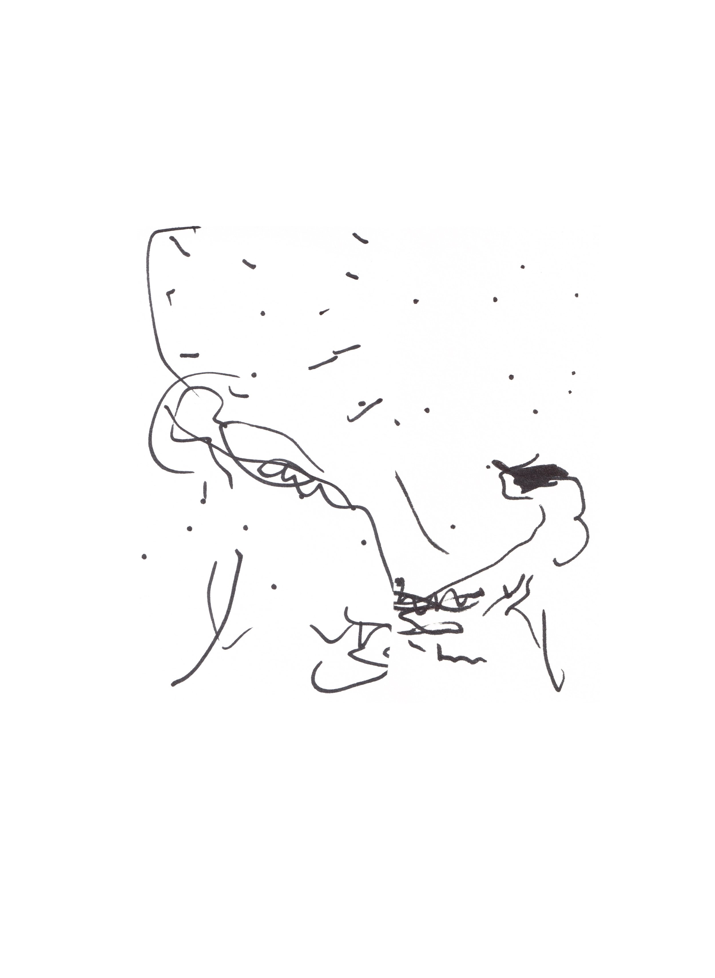 ANAXIMANDER drawing by Jonathan Joubert, showing two elongated profiles meeting across a field of scattered black marks on white paper.