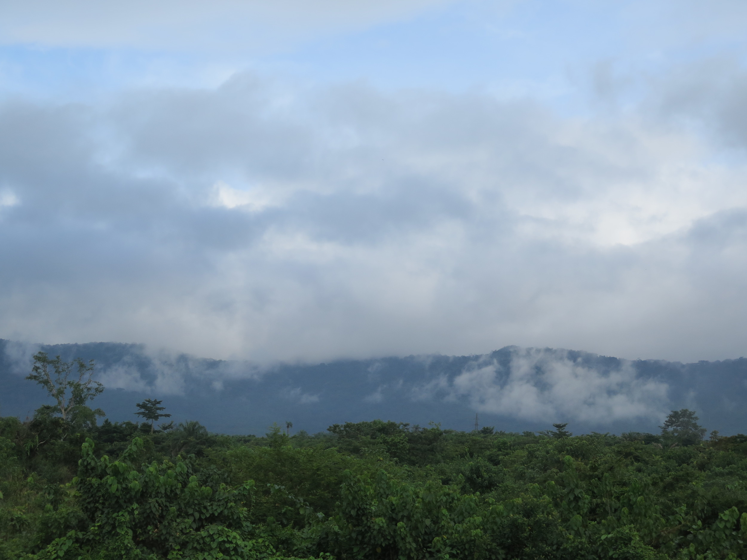 IMG_0695 Layers of nature between Kenema & Kalihun.JPG