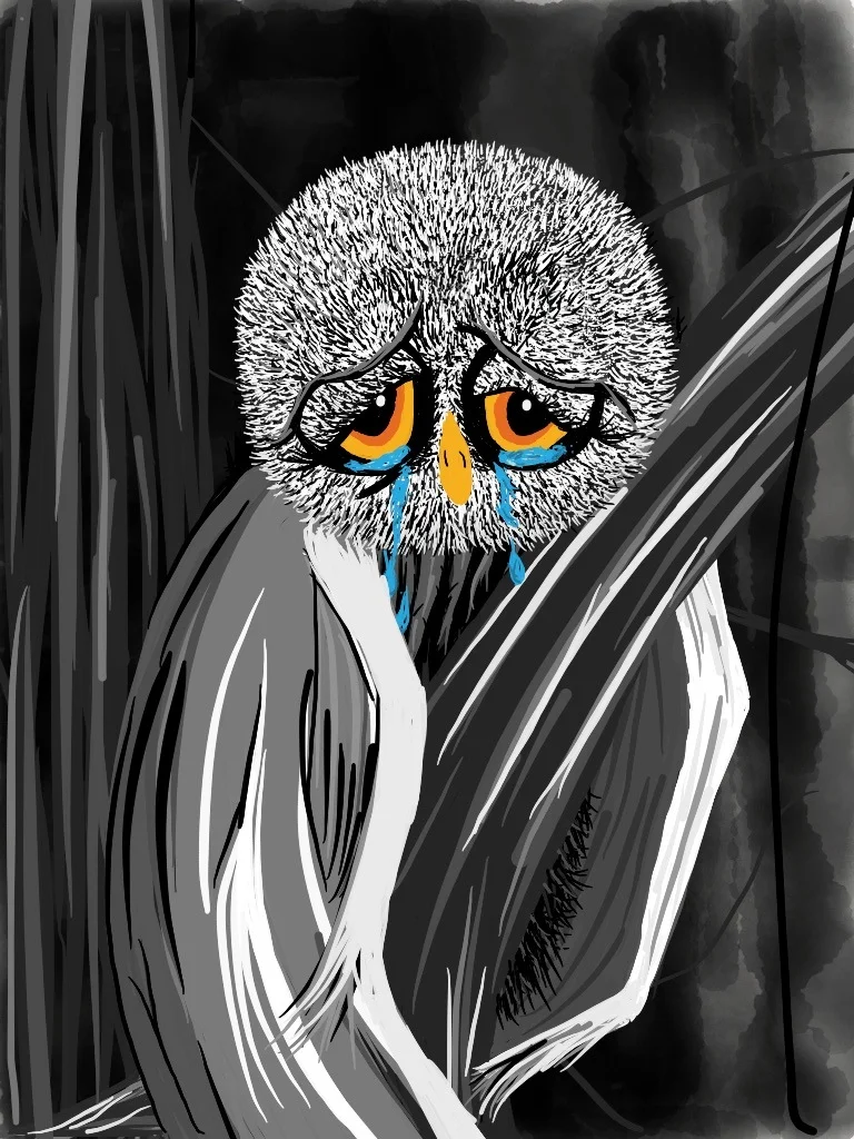moons up tears.jpg
