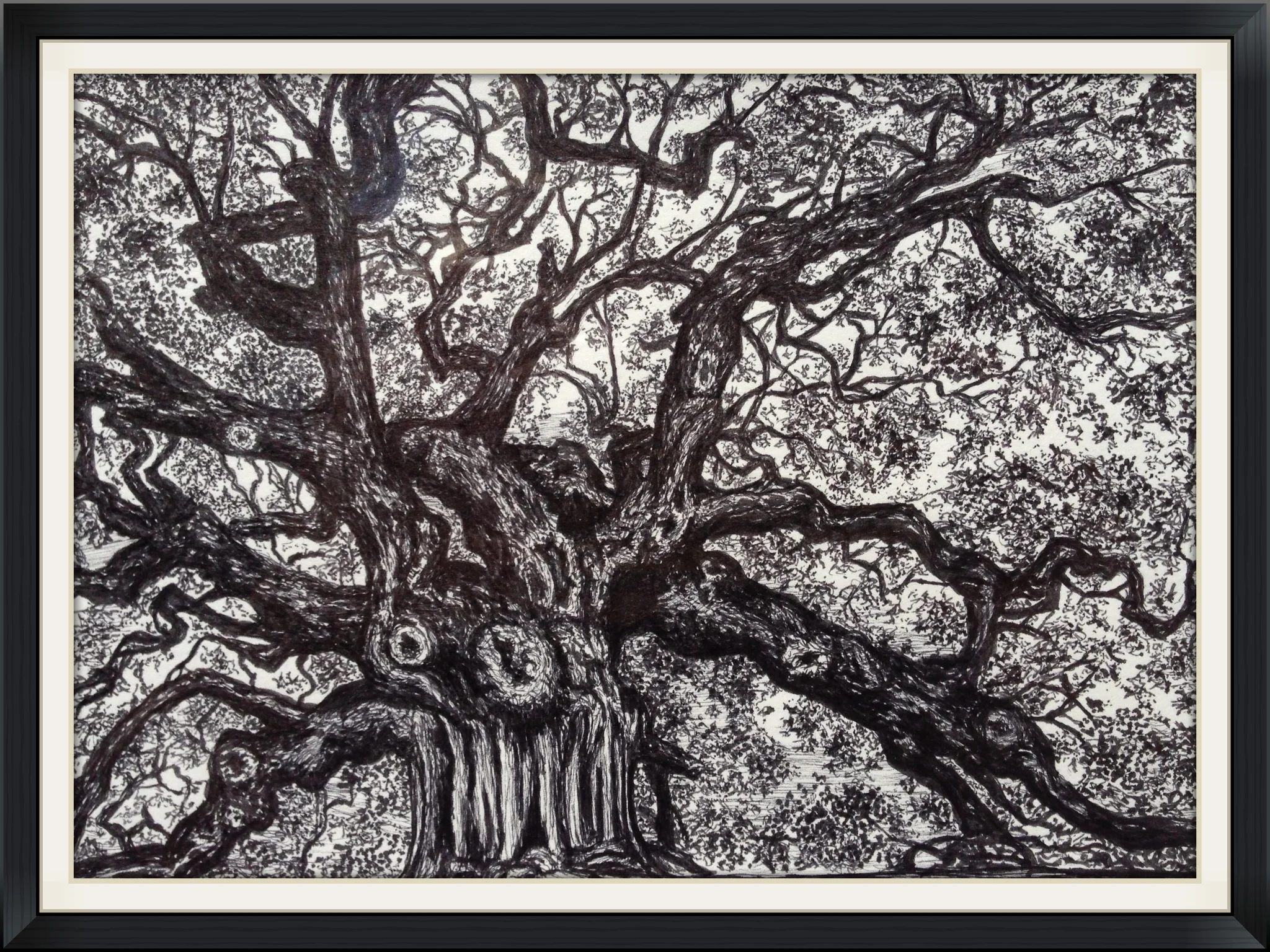 Angel Oak details