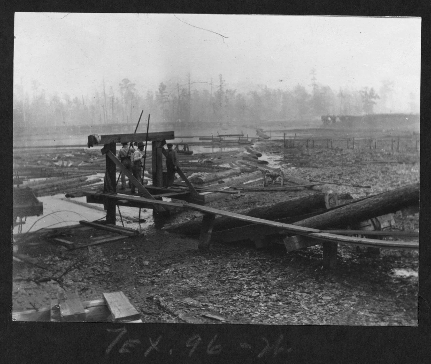 Tex96 Loading Logs onto the Endless Chain