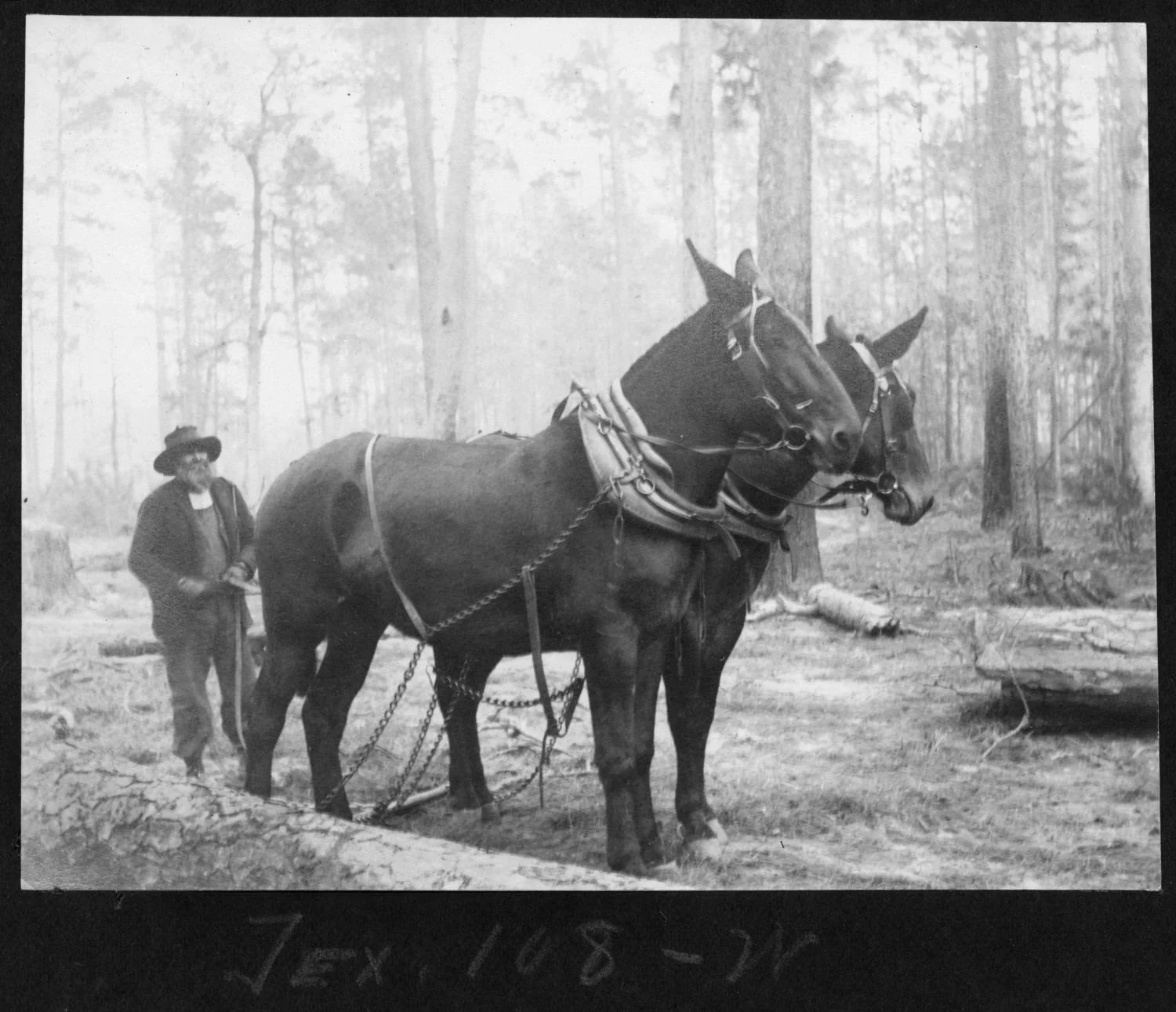 metapth204263_xl_0057_american-lumberman-tex108-1903.jpg