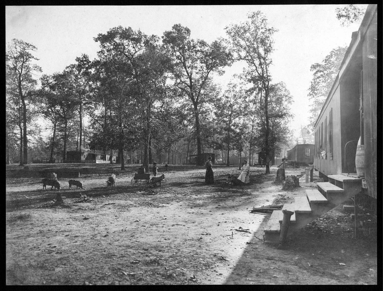 S.P. 330 camp 2
