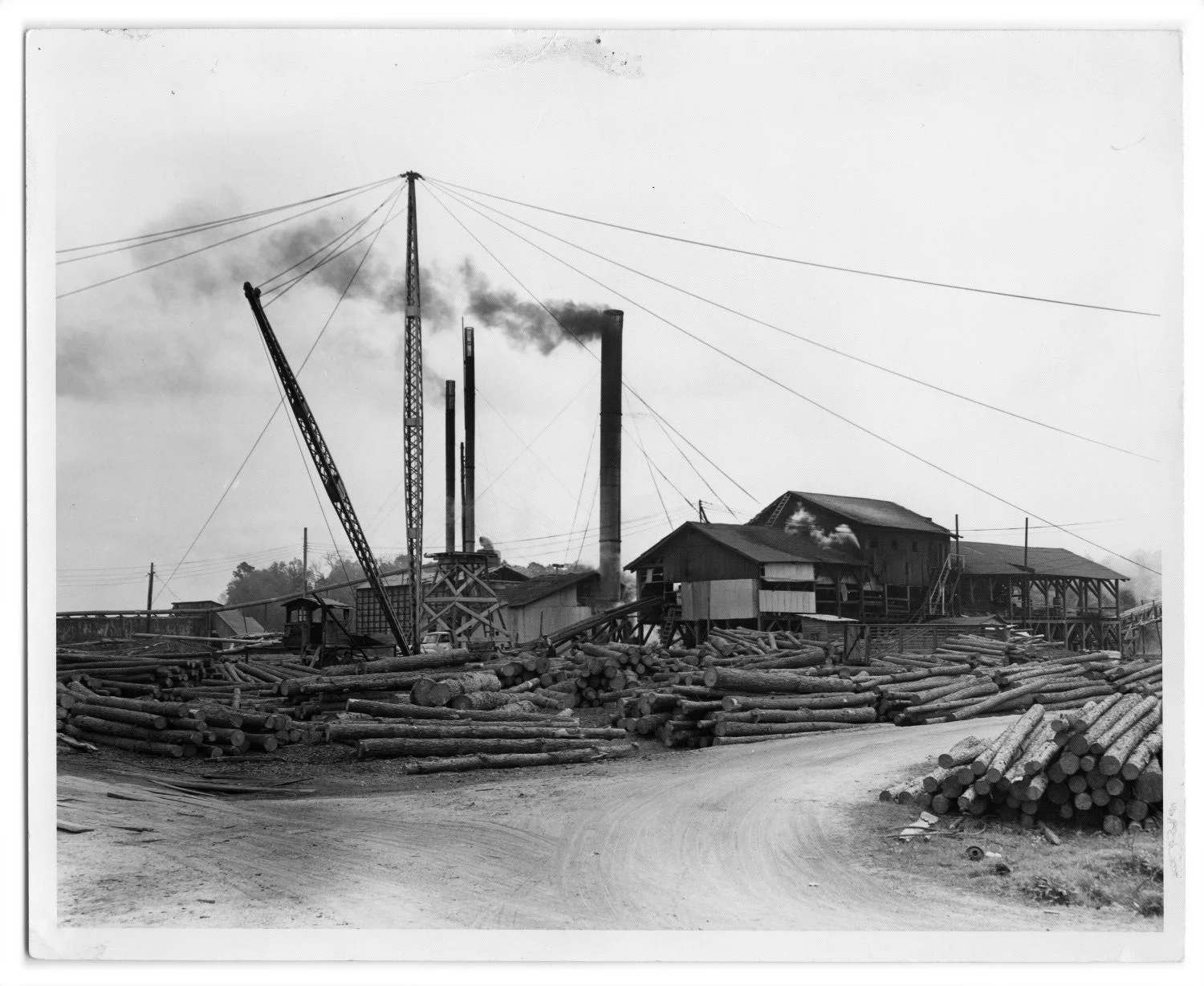 metapth37286_xl_hhm_00579.jpg