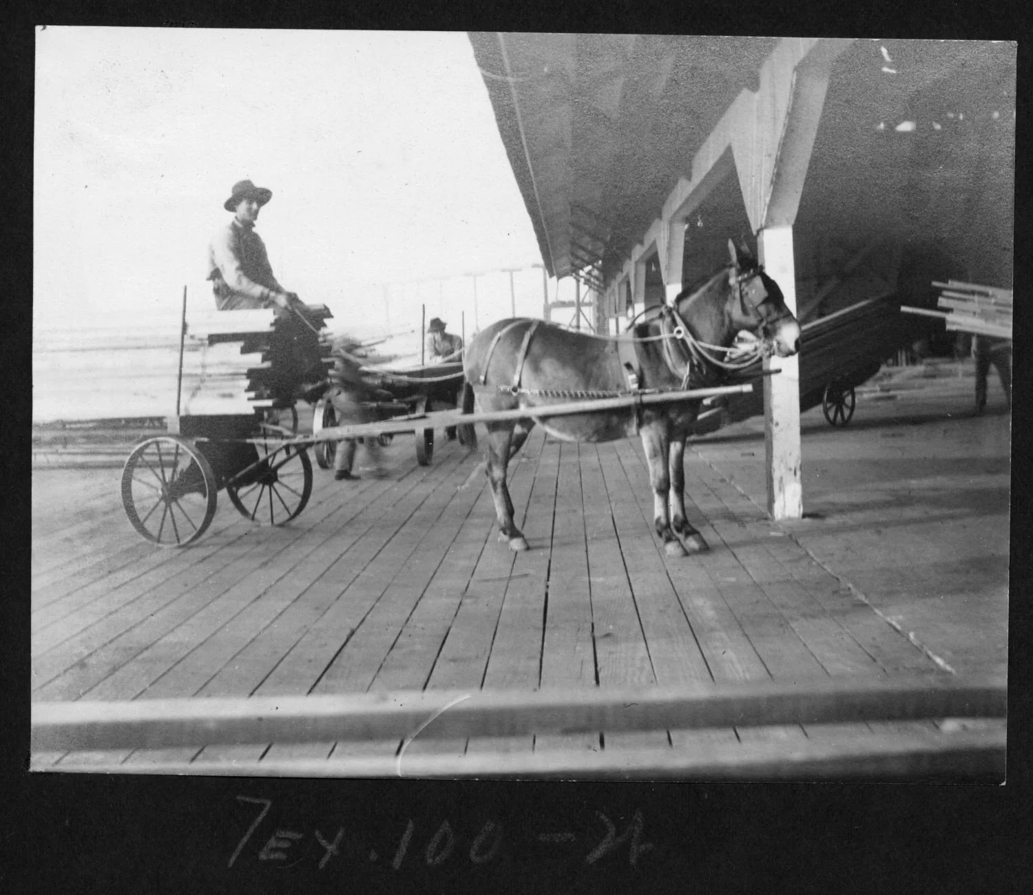 Tex100 Loaded Mule Drawn Lumber Cart at Mill Shed