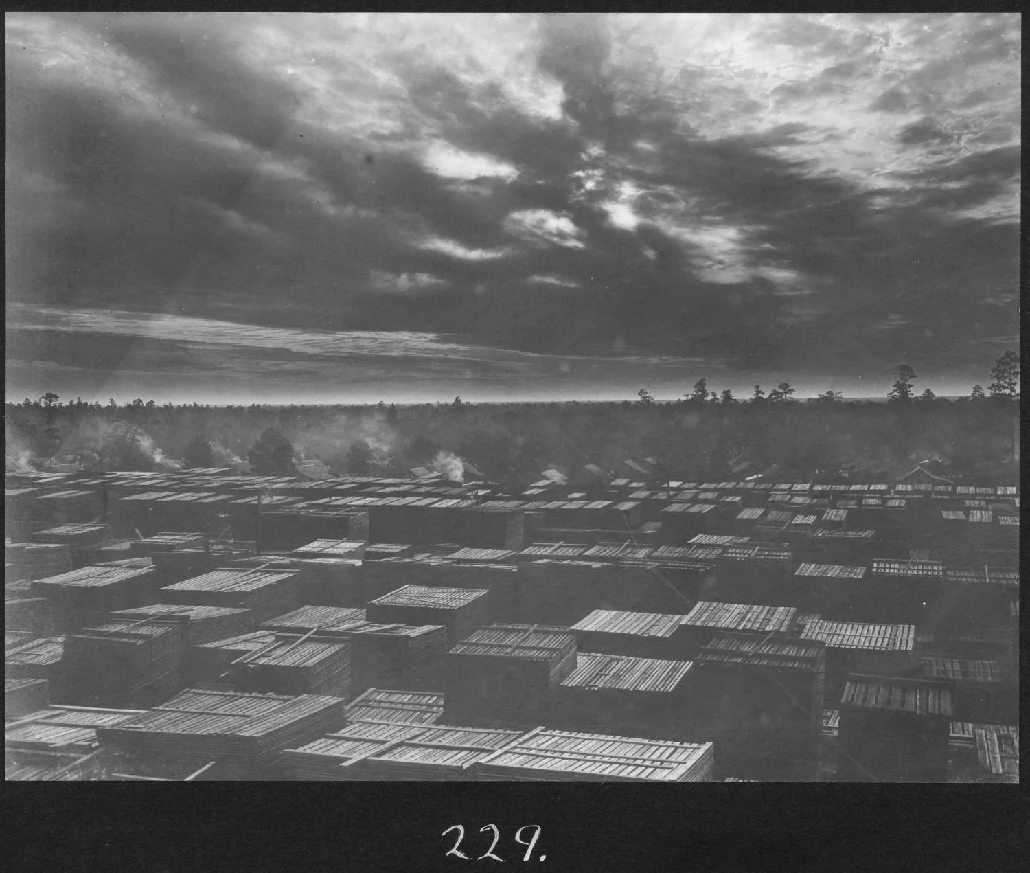 S. P. 229 Sunset Over the Lumberyard