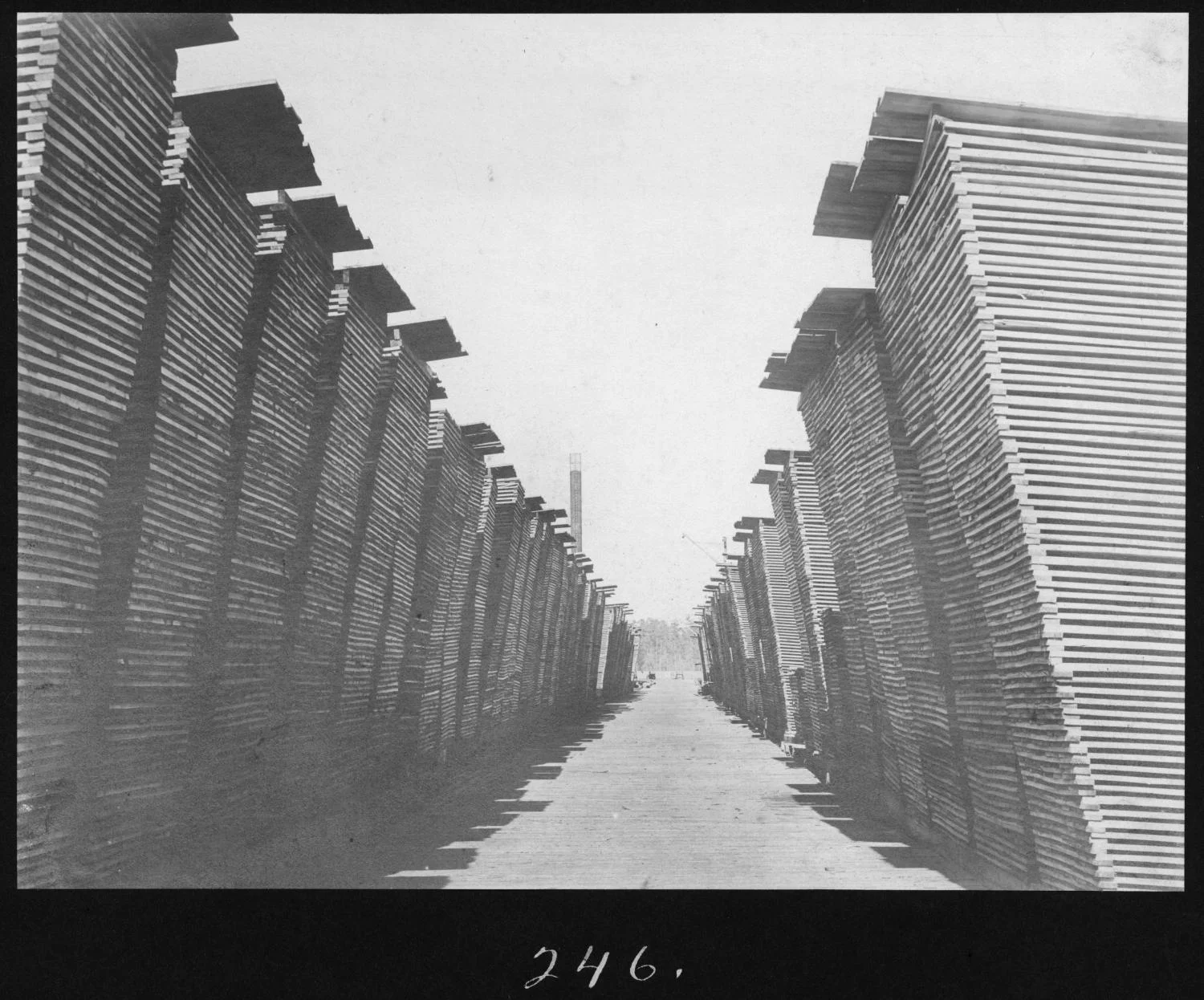 S. P. 246 Hardwood Lumber Alley