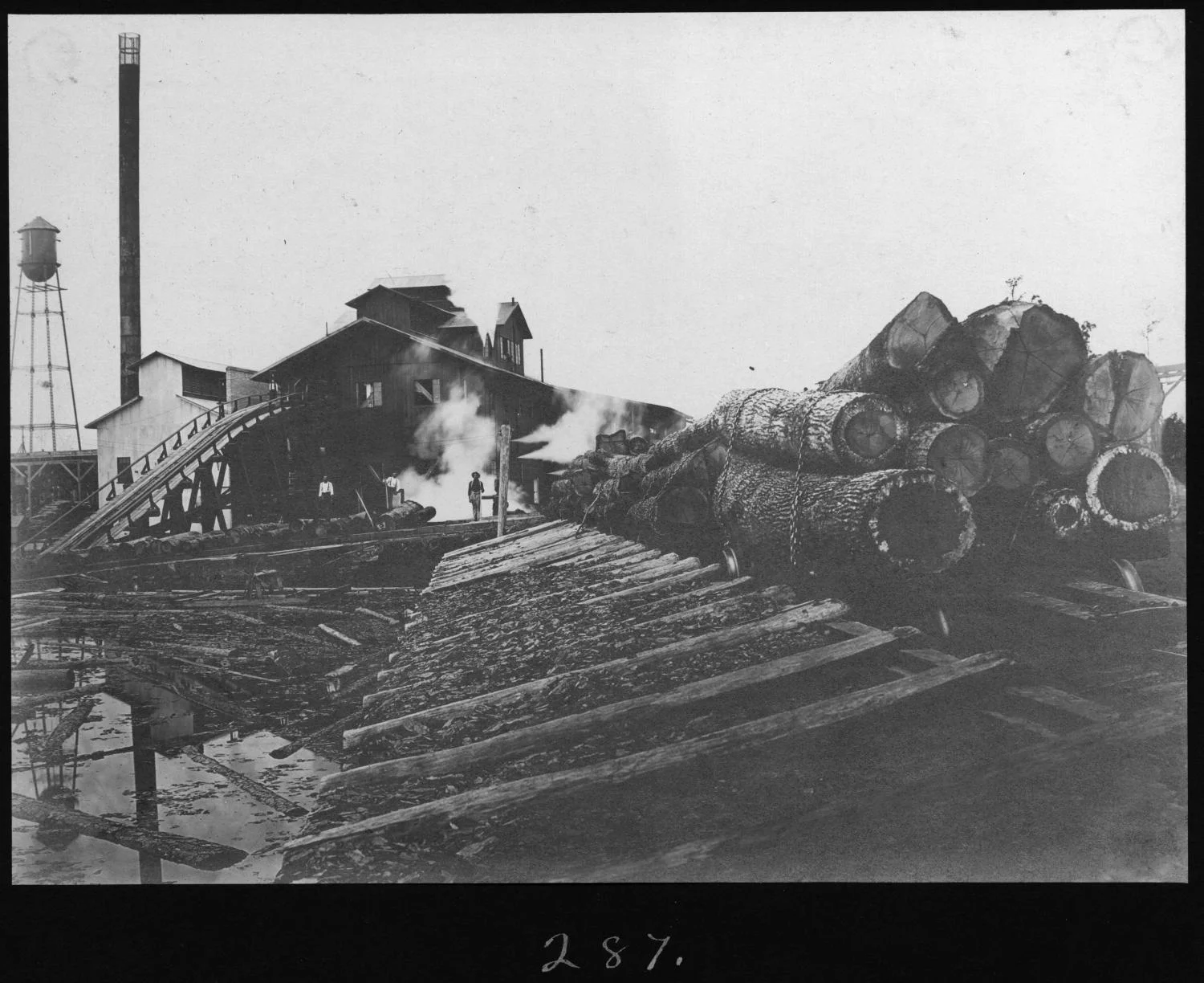 S. P. 287 Hardwood Logs Unloading into Mill Pond