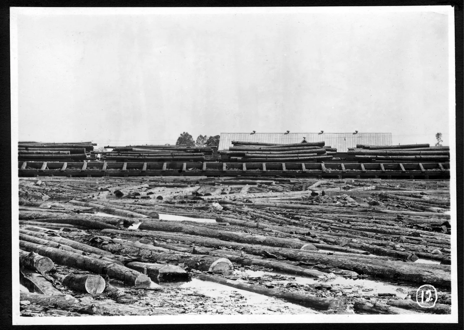 S.P. 309 backside mill pond full