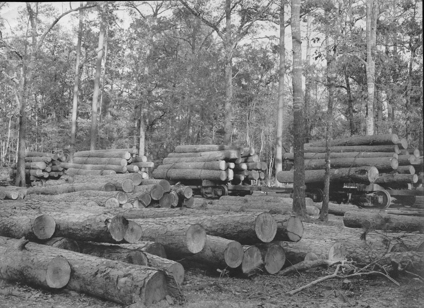 S. P. 322 Log Ramp and Log Cars