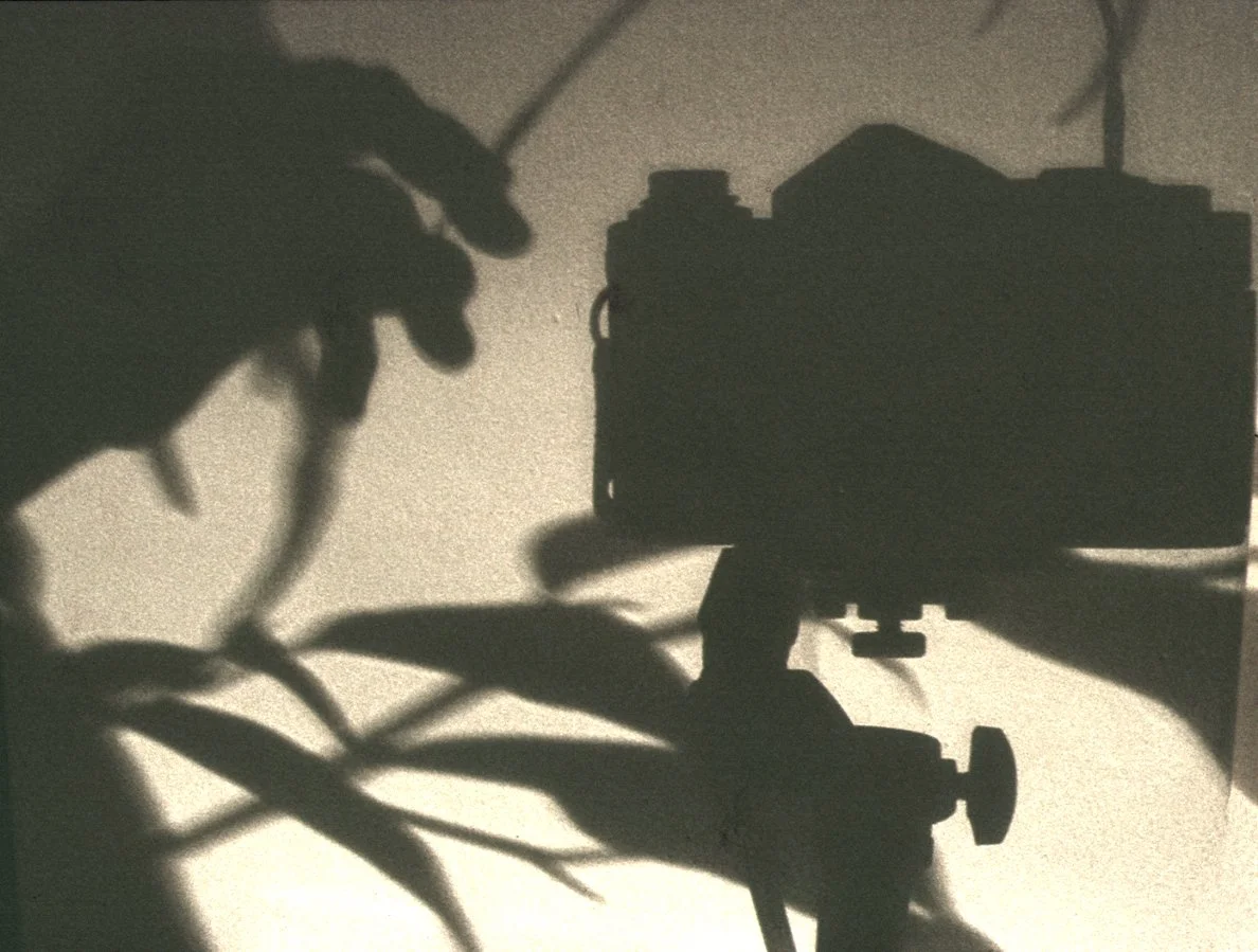 Shadows 00.jpg