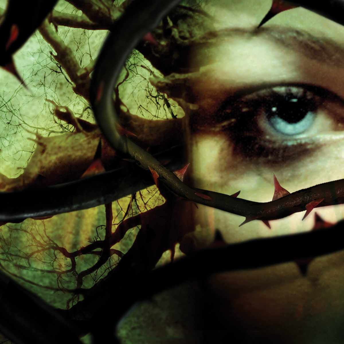 EVabh_4web_2013.png