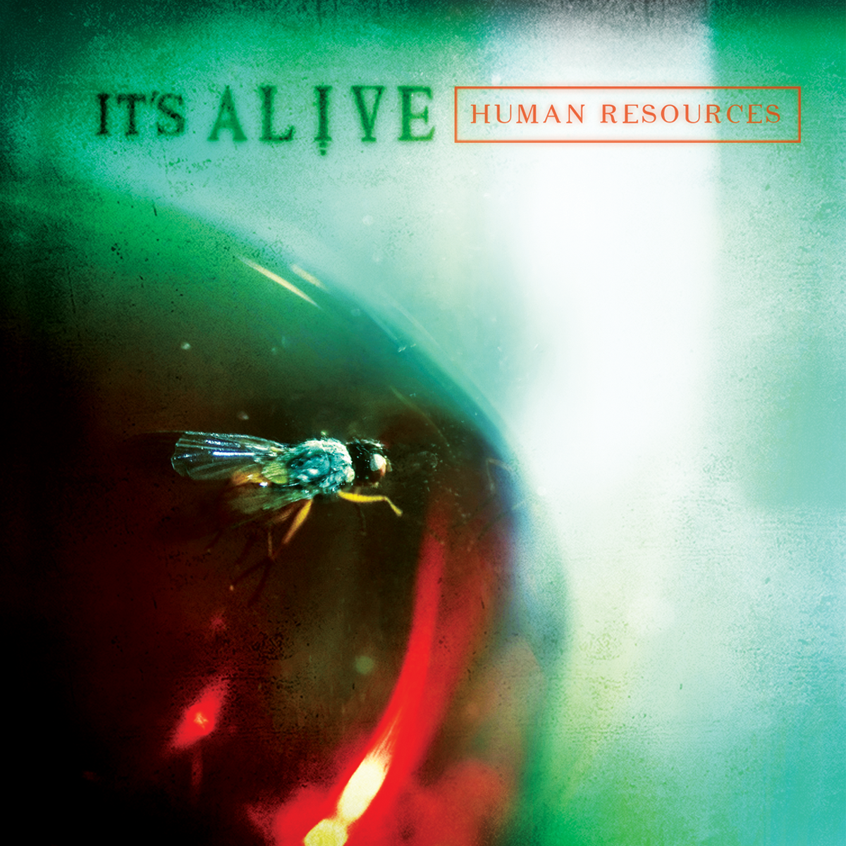 It's Alive_4web_2013.png