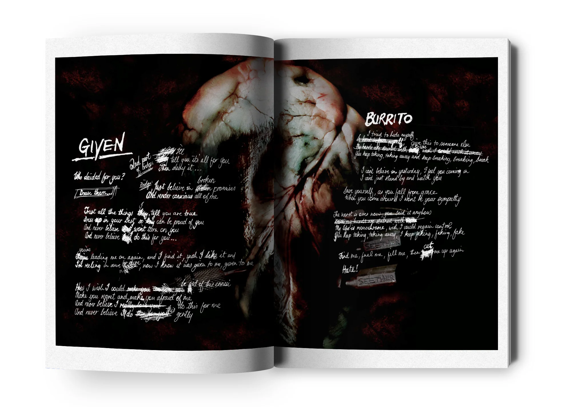 Seether-book-mockup_sprd4.jpg