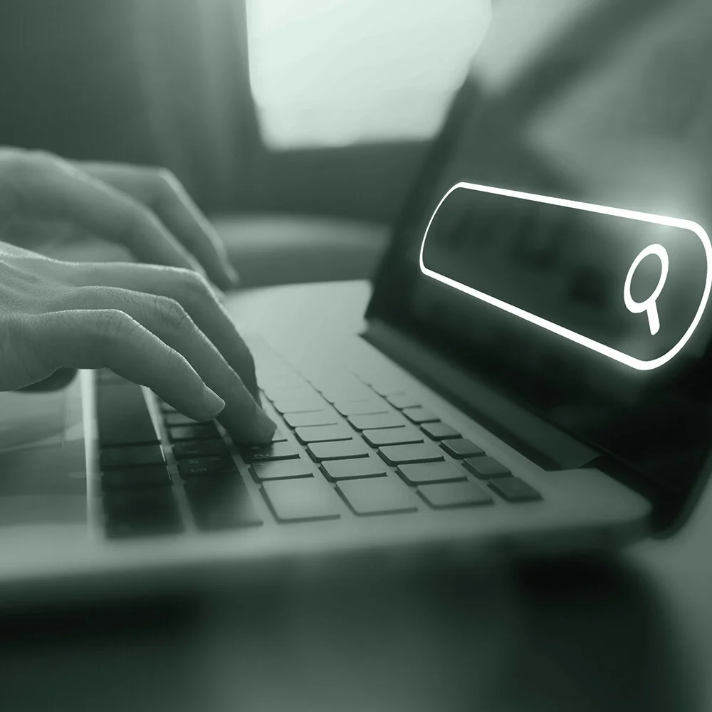 Using Open Sources for Financial Crime Intelligence