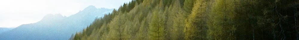 Tony Stringer banner image