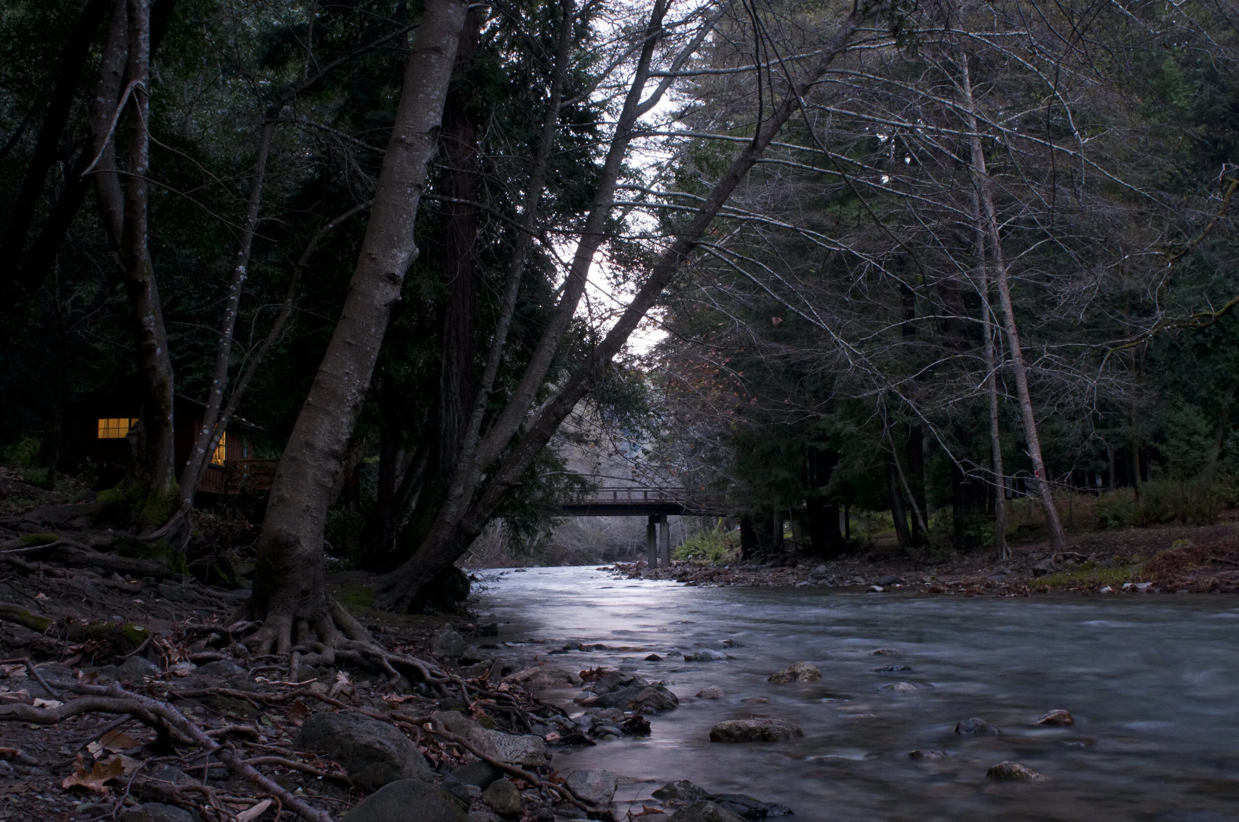  Big Sur, California, Ripplewood 
