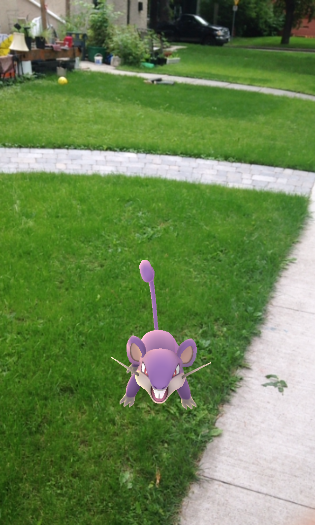  More Rattatas... 