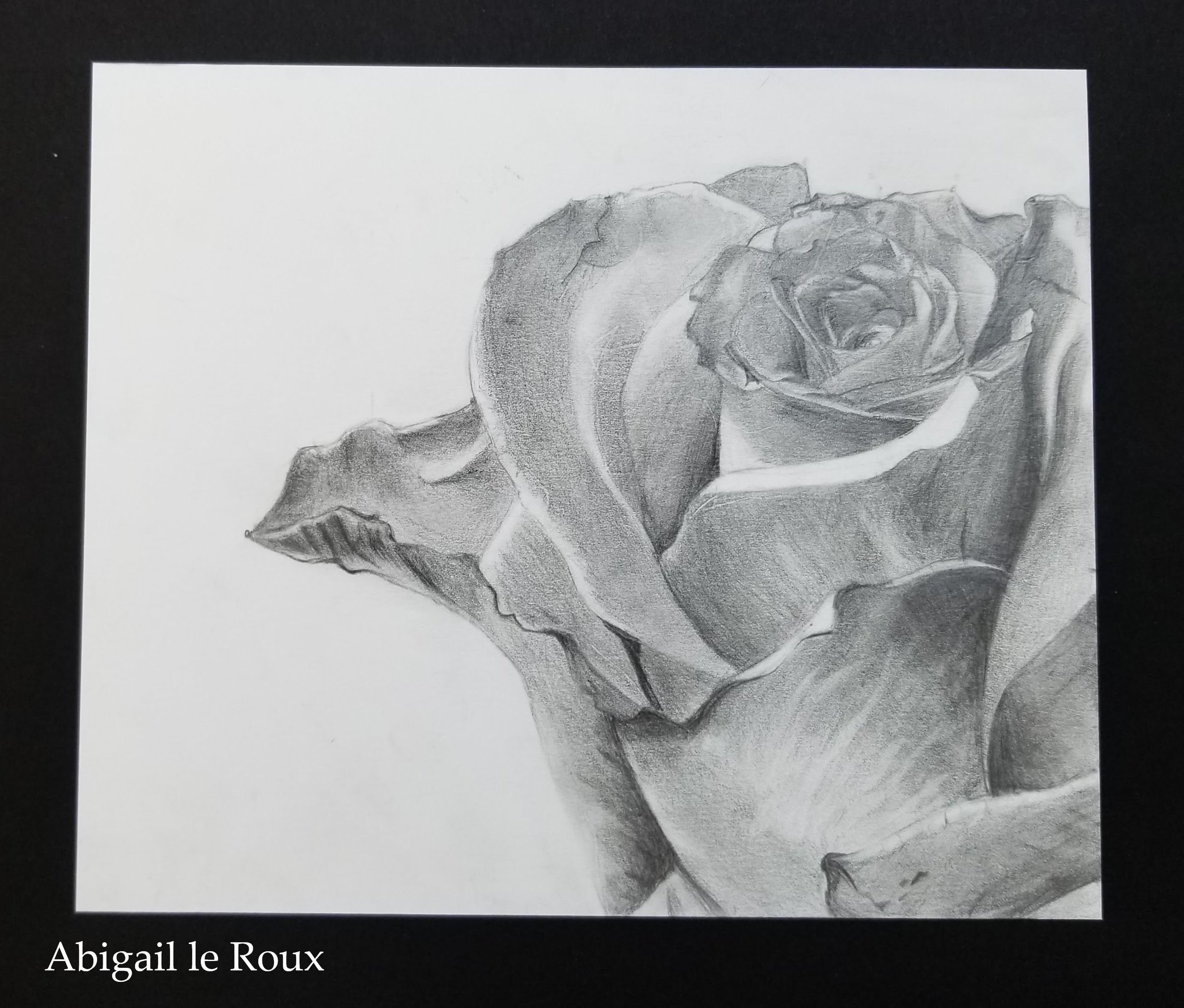 Abigail le Roux - Rose.jpg
