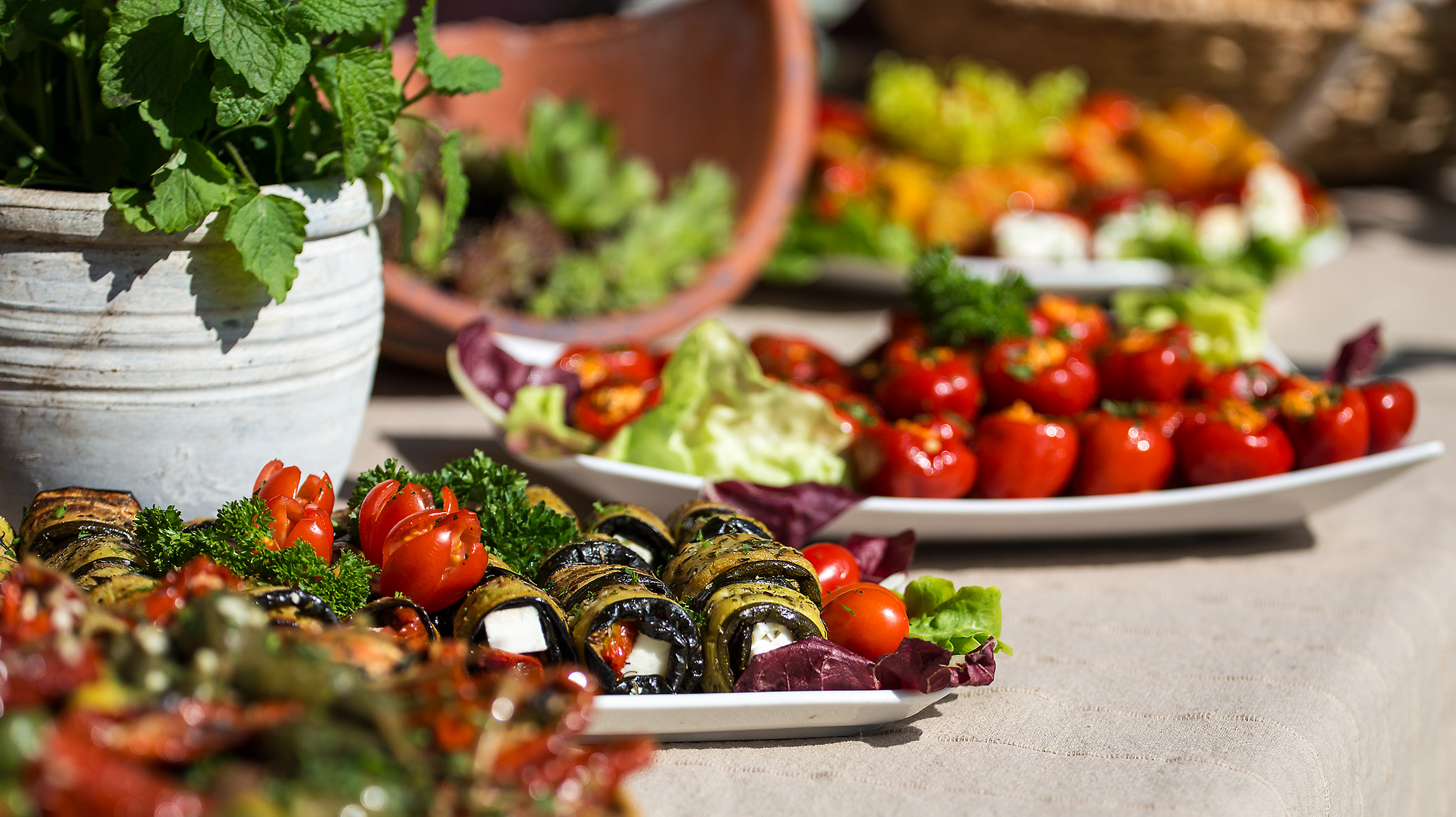  Röllchen und gefüllte Wildpaprika 